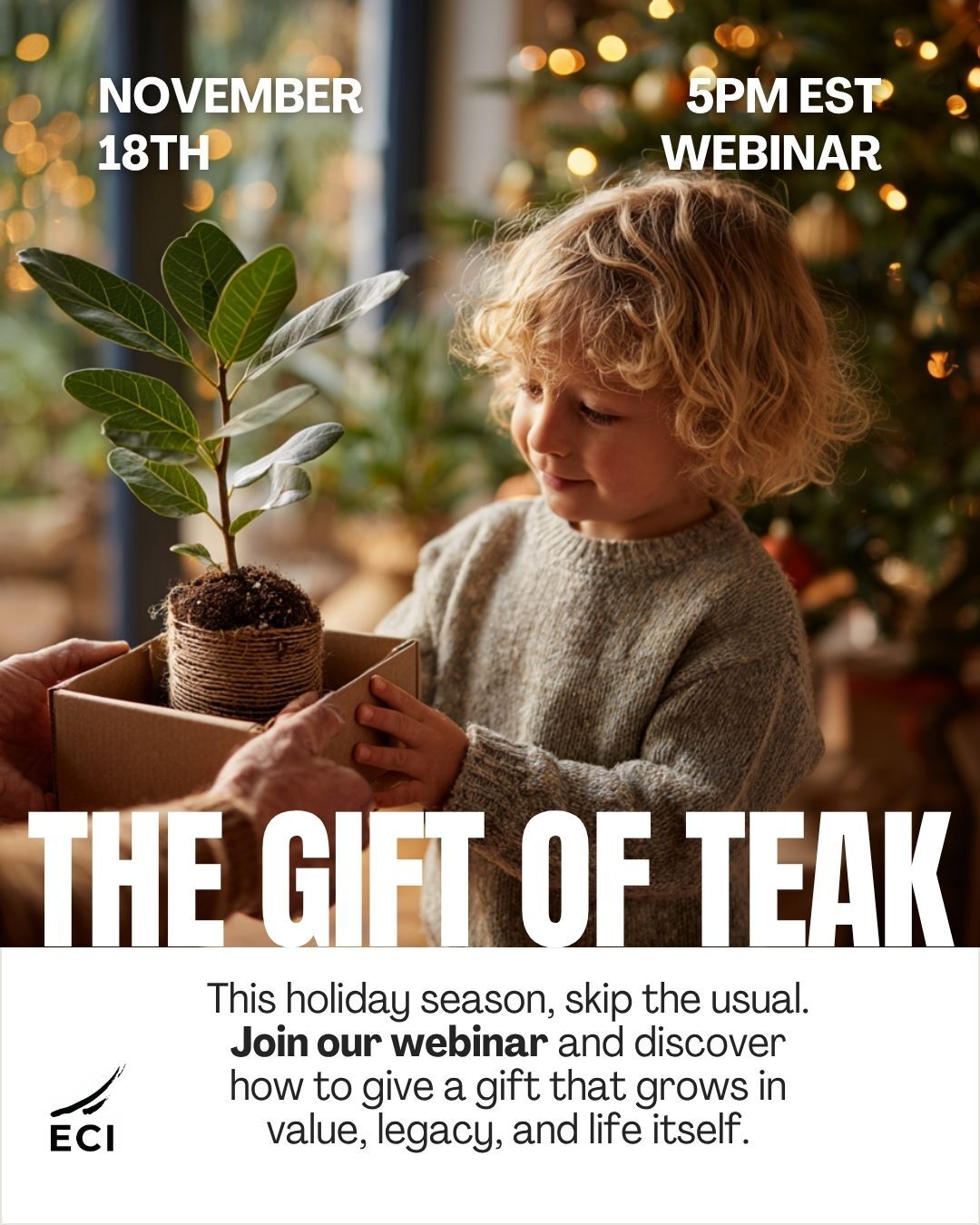 Gift of Teak Webinar IG Gift of Teak Webinar IG