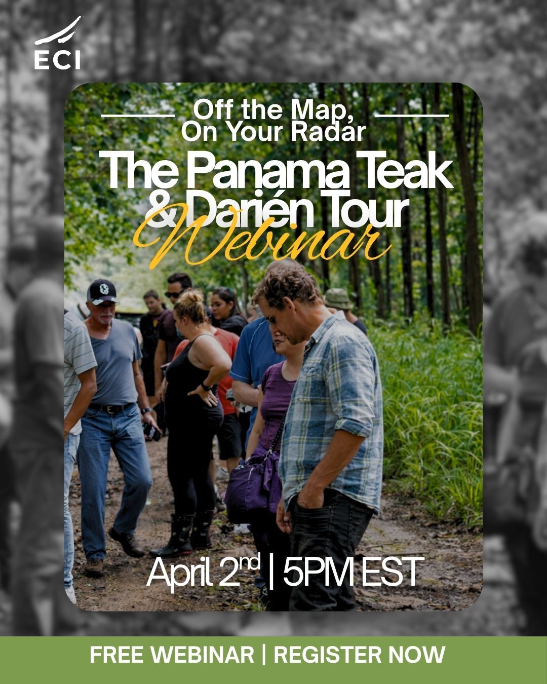 Panama Teak & Darien Tour Webinar IG promo 1